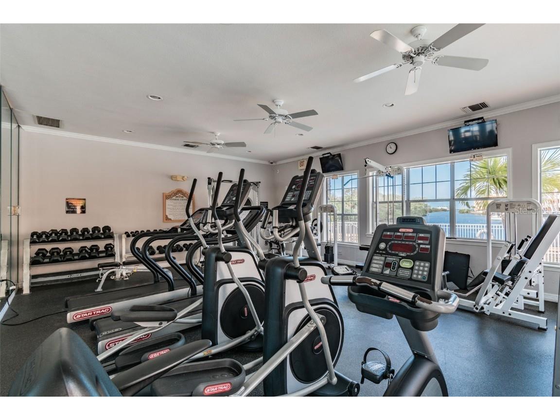 5000 Culbreath Key Way #1-215 Tampa FL 33611 TB8446806 image39