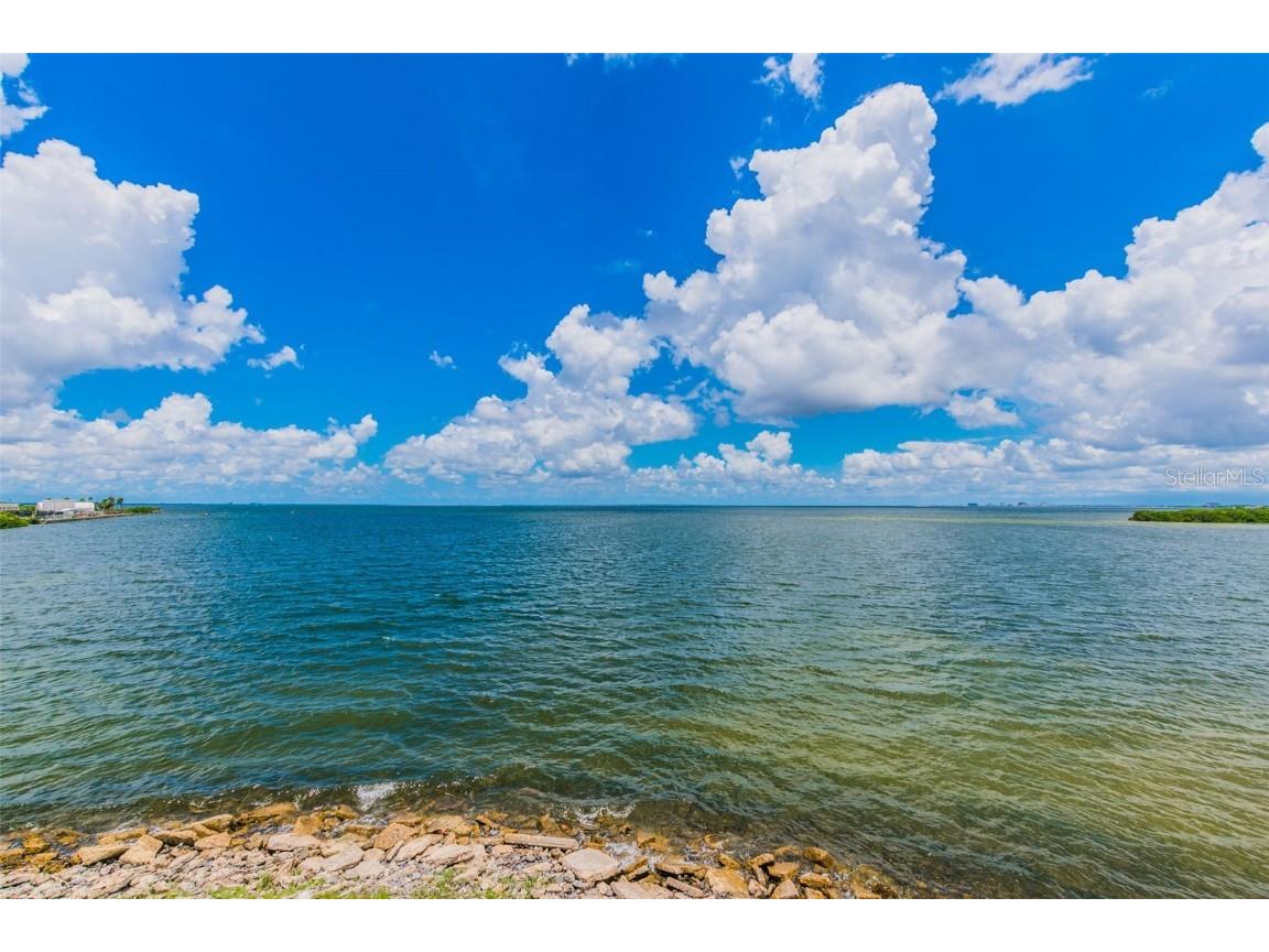 5000 Culbreath Key Way #1-215 Tampa FL 33611 TB8446806 image50