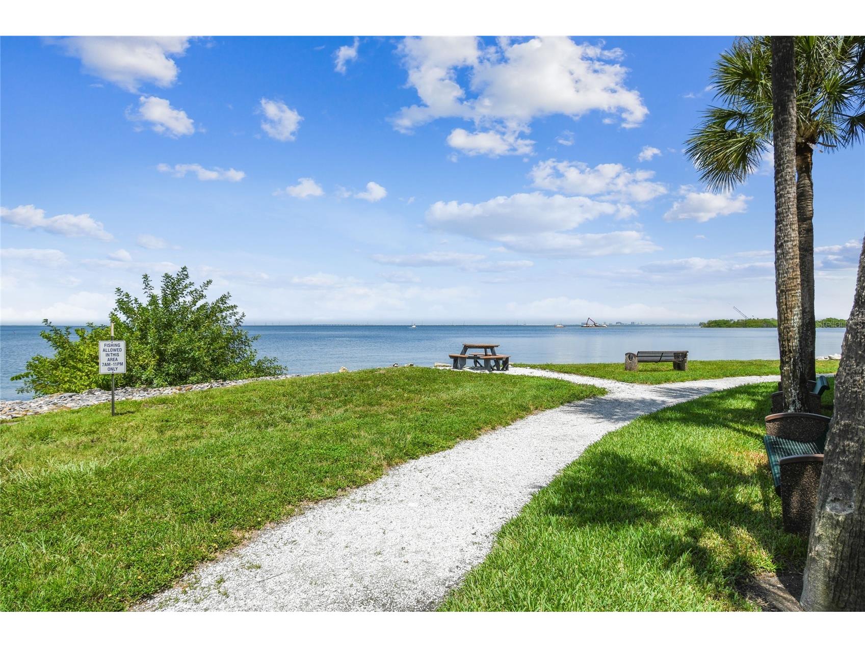 5000 Culbreath Key Way #2-201 Tampa FL 33611 TB8511178 image50