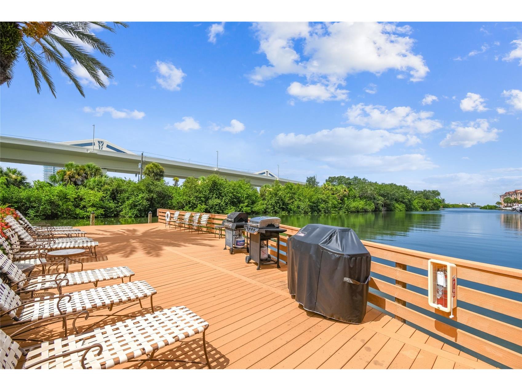 5000 Culbreath Key Way #2-201 Tampa FL 33611 TB8511178 image54