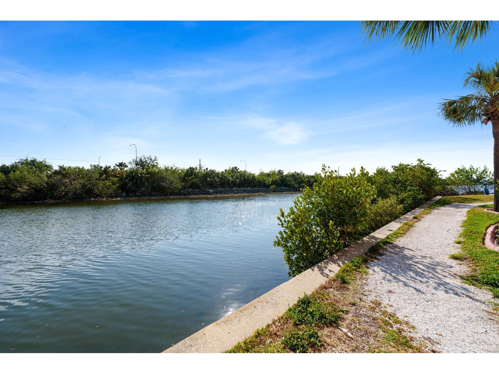 5000 Culbreath Key Way #4303 Tampa FL 33611 - TAMPA BAY TB8490191 image36