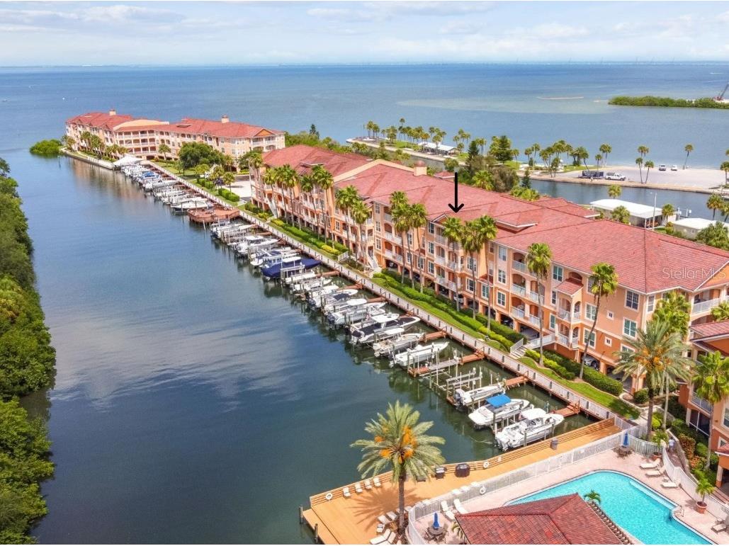 5000 Culbreath Key Way #8-311 Tampa FL 33611 TB8318852 image1