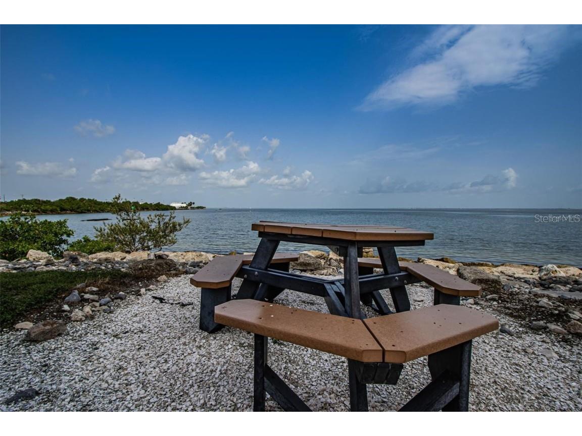 5000 Culbreath Key Way #8-316 Tampa FL 33611 - TAMPA BAY TB8443991 image83