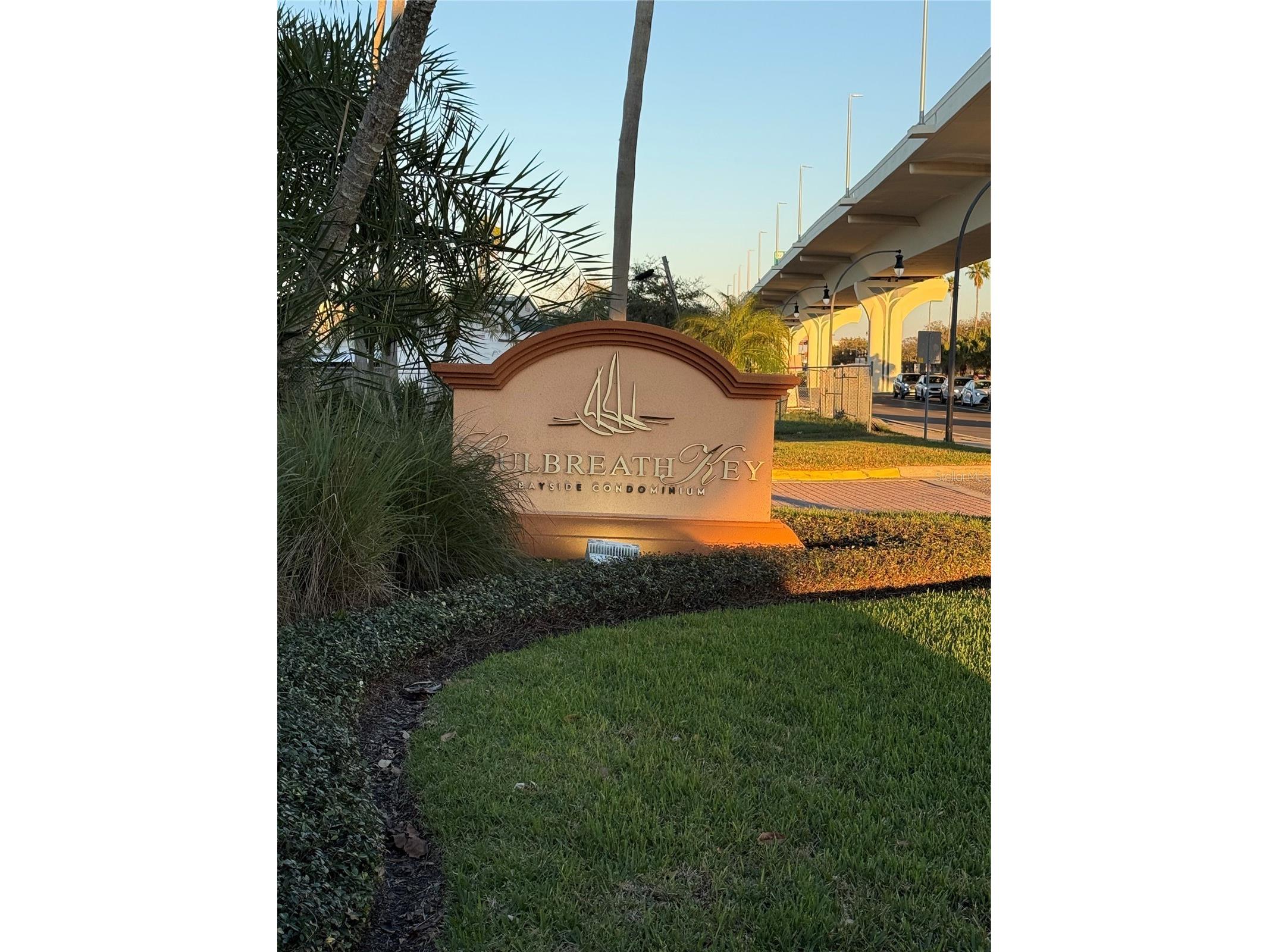 5000 Culbreath Key Way #8116 Tampa FL 33611 TB8478985 image2
