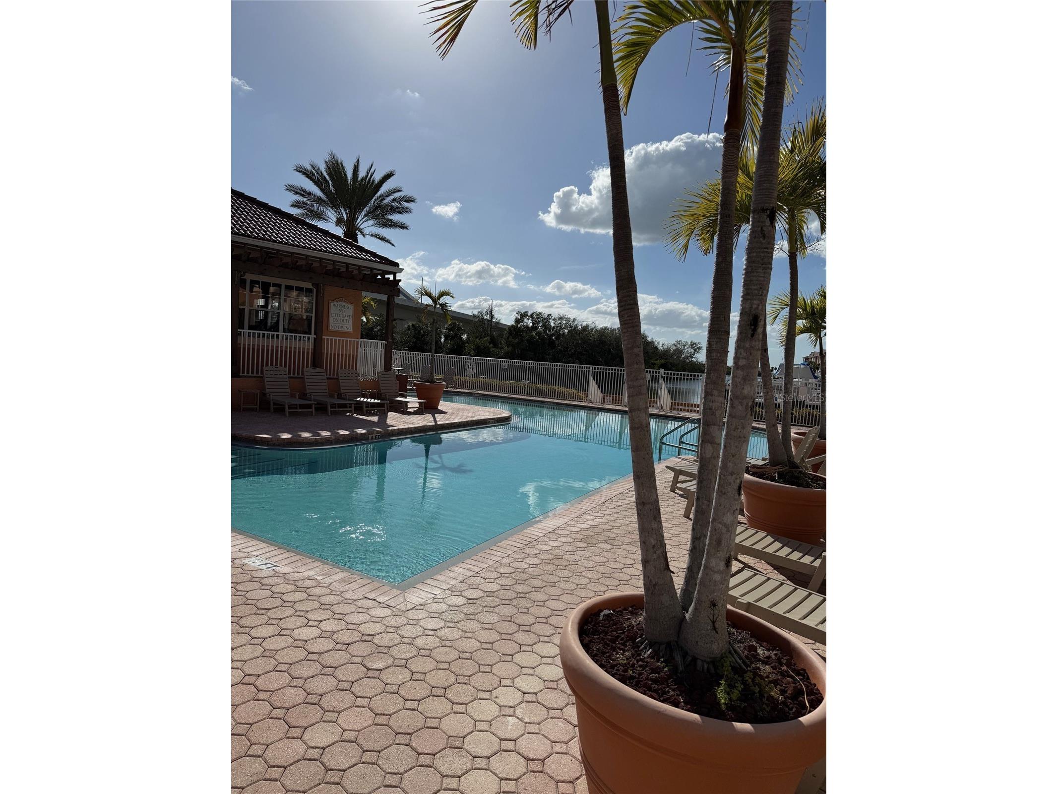 5000 Culbreath Key Way #8116 Tampa FL 33611 TB8478985 image25