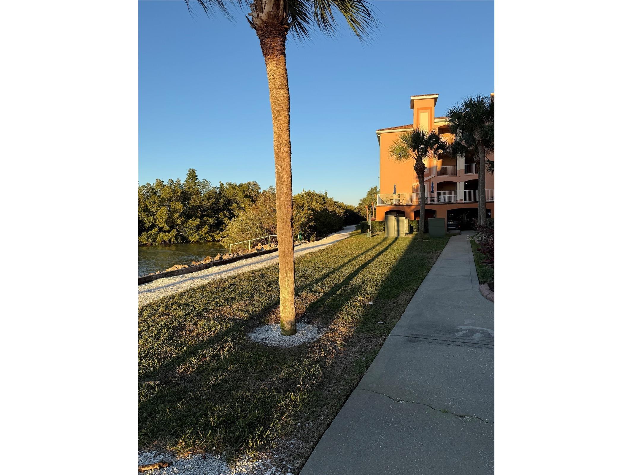 5000 Culbreath Key Way #8116 Tampa FL 33611 TB8478985 image27