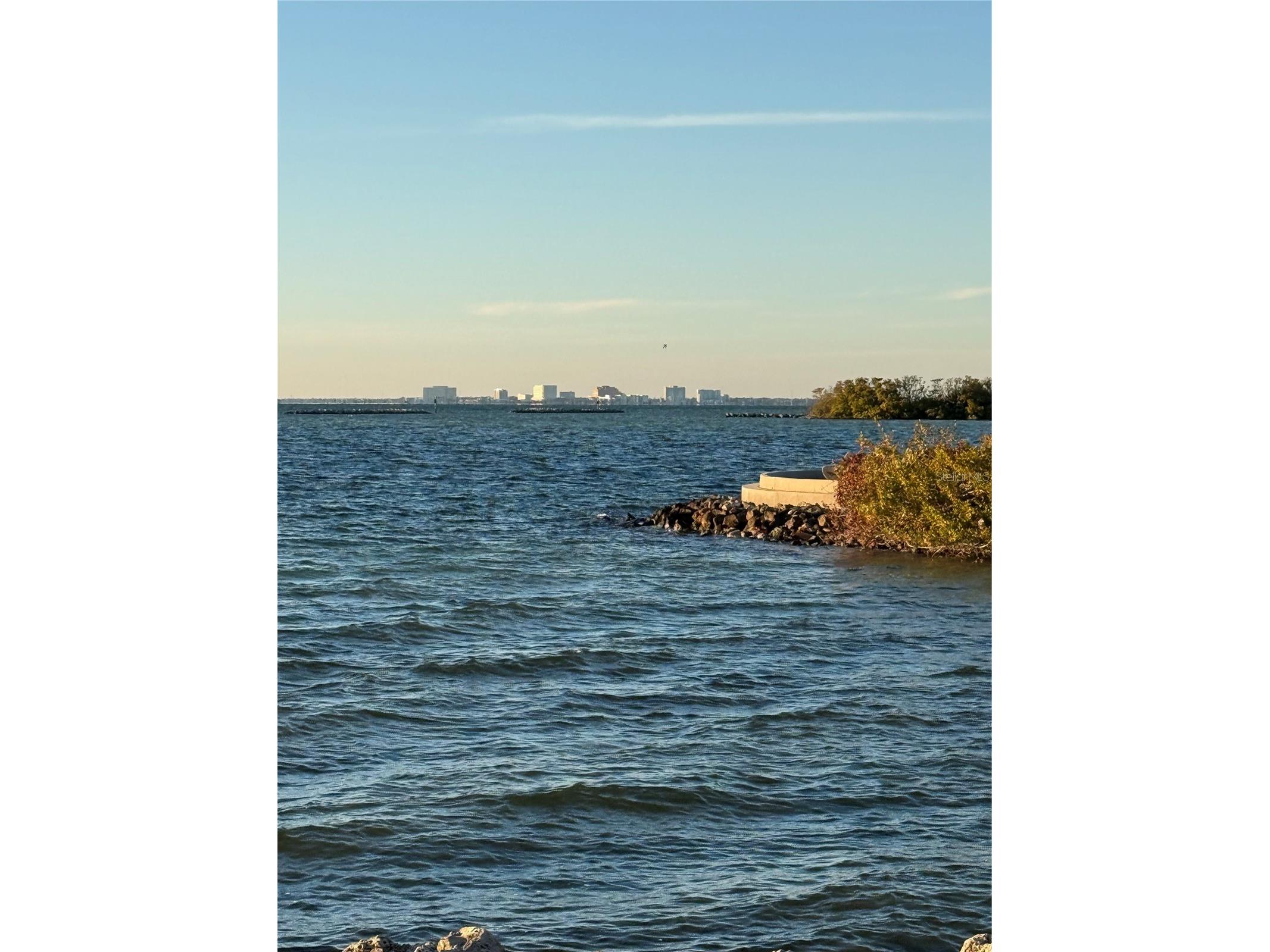 5000 Culbreath Key Way #8116 Tampa FL 33611 TB8478985 image29