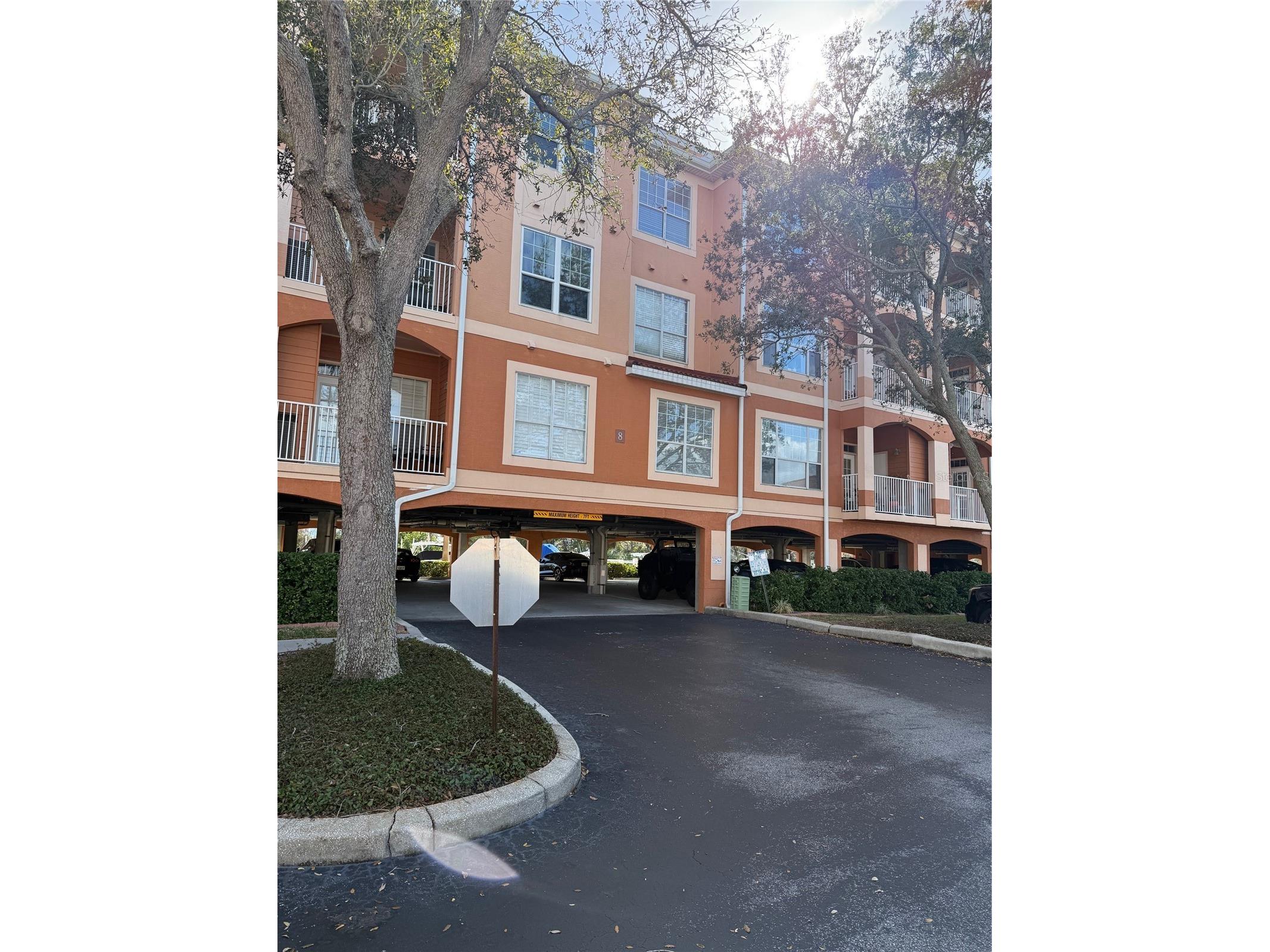 5000 Culbreath Key Way #8116 Tampa FL 33611 TB8478985 image3