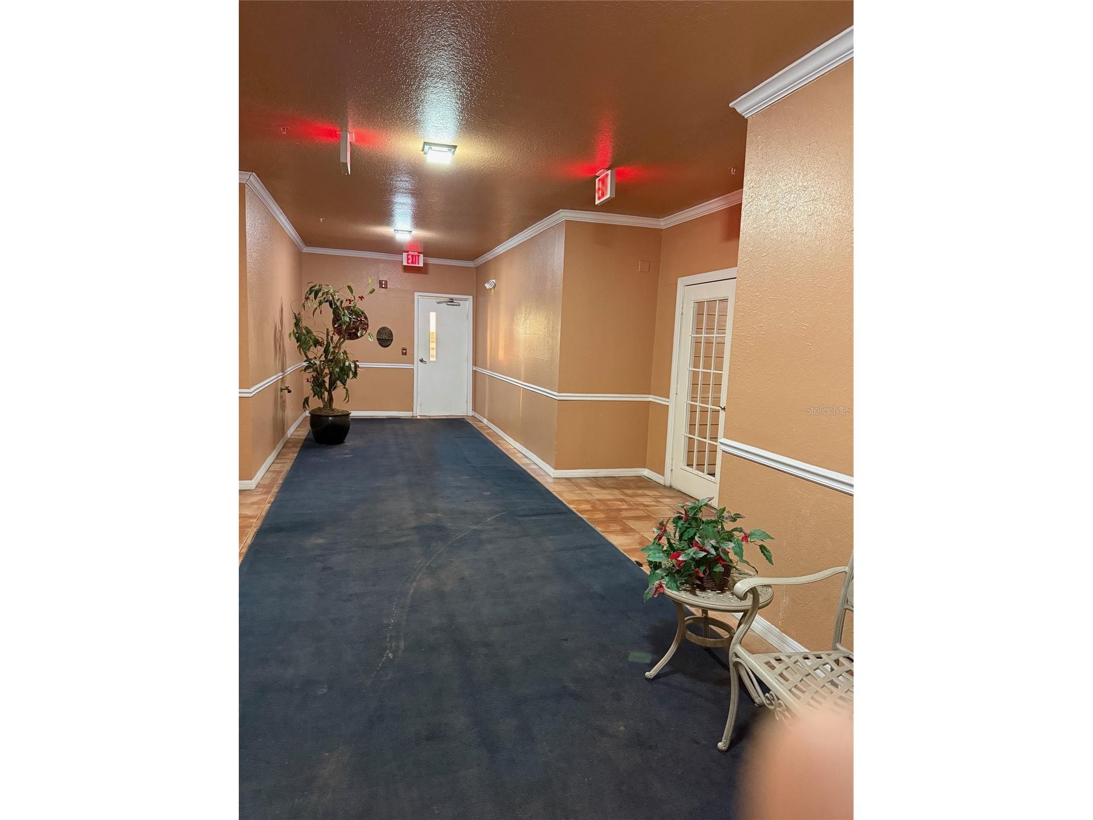 5000 Culbreath Key Way #8116 Tampa FL 33611 TB8478985 image4
