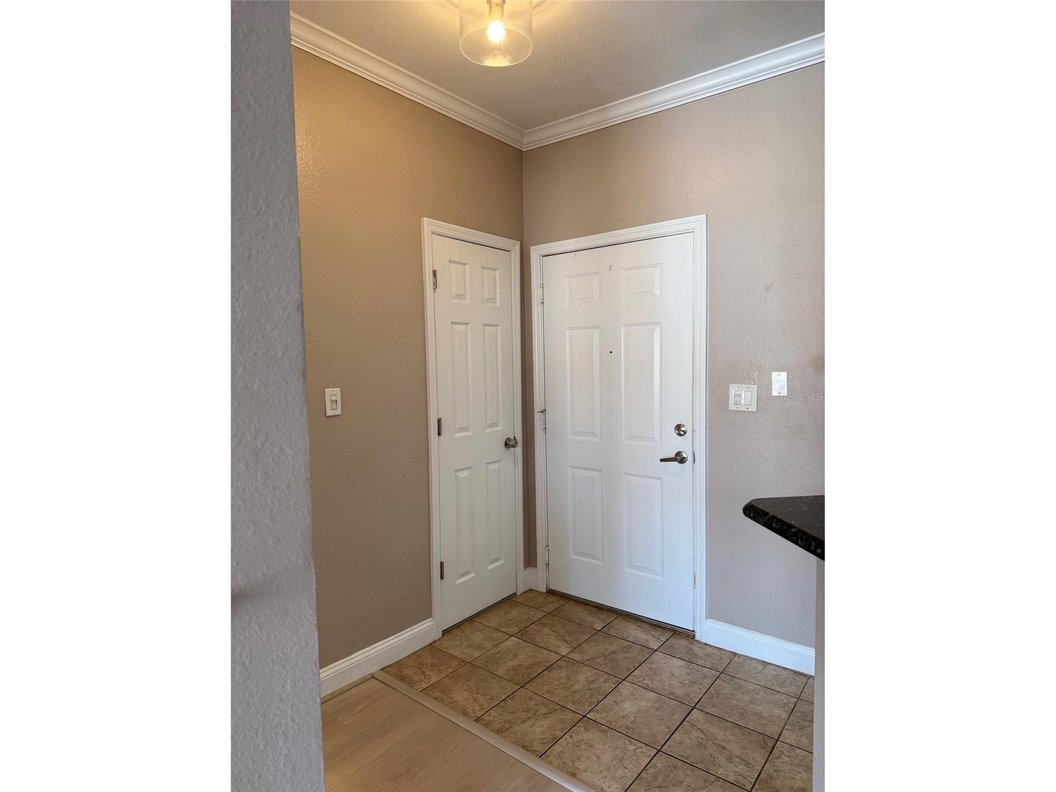 5000 Culbreath Key Way #8116 Tampa FL 33611 TB8478985 image6