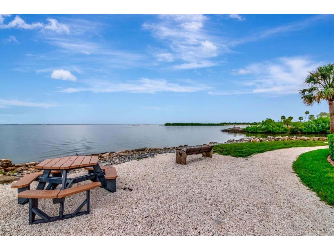 5000 Culbreath Key Way #9-121 Tampa FL 33611 TB8421698 image26