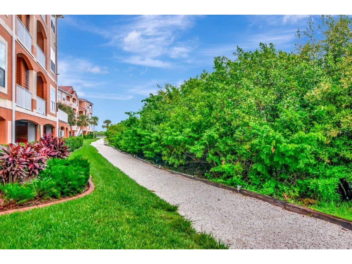 5000 Culbreath Key Way #9-121 Tampa FL 33611 TB8421698 image37