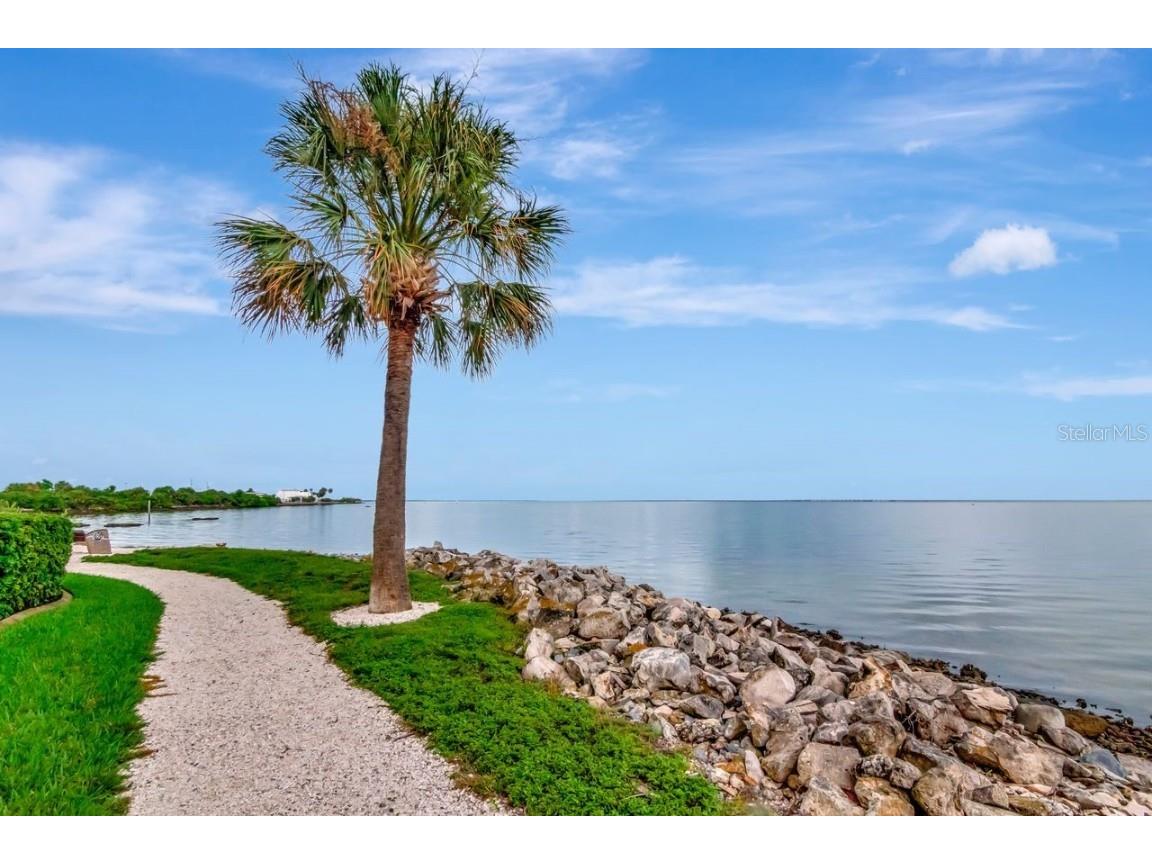 5000 Culbreath Key Way #9-121 Tampa FL 33611 TB8421698 image46