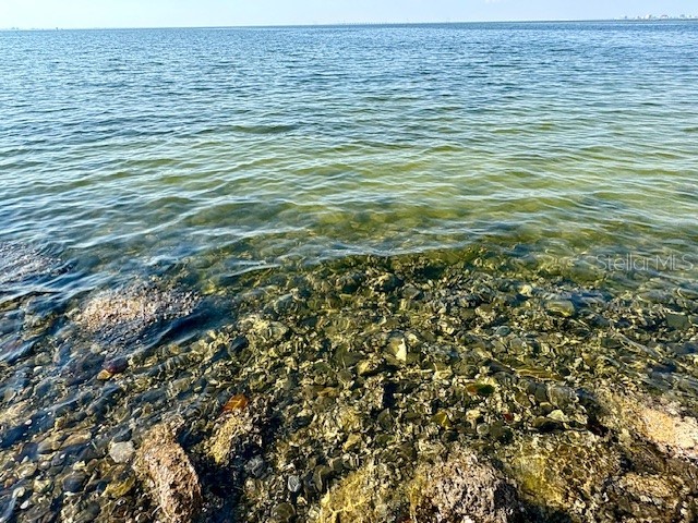 5000 Culbreath Key Way #9-305 Tampa FL 33611 TB8451793 image22