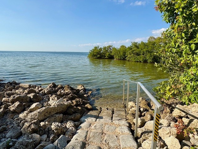 5000 Culbreath Key Way #9-305 Tampa FL 33611 TB8451793 image23