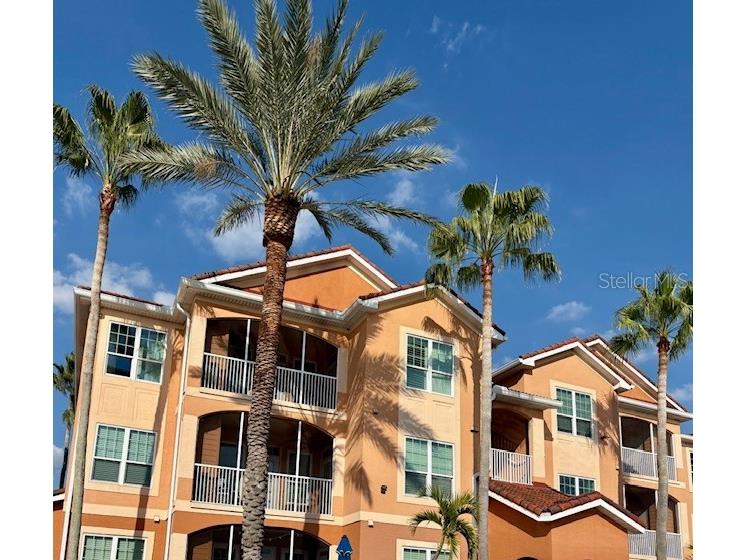 5000 Culbreath Key Way #9-305 Tampa FL 33611 TB8451793 image24