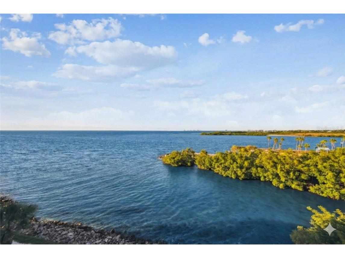 5000 Culbreath Key Way #9-318 Tampa FL 33611 TB8447703 image13