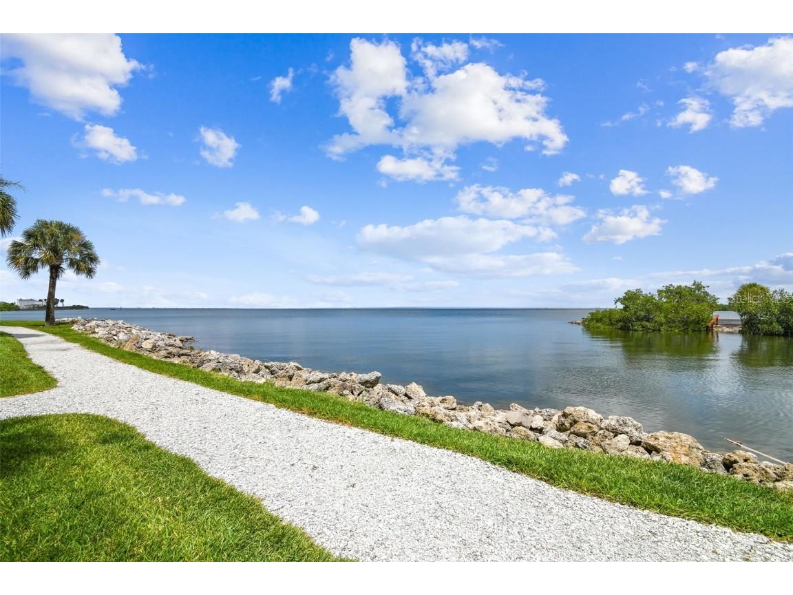 5000 Culbreath Key Way #9-318 Tampa FL 33611 TB8447703 image51