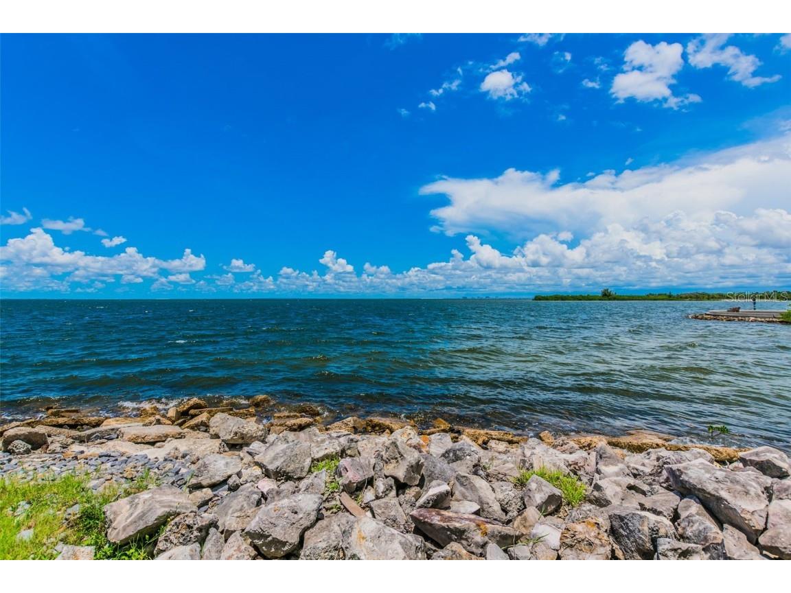 5000 Culbreath Key Way #9-318 Tampa FL 33611 TB8447703 image83