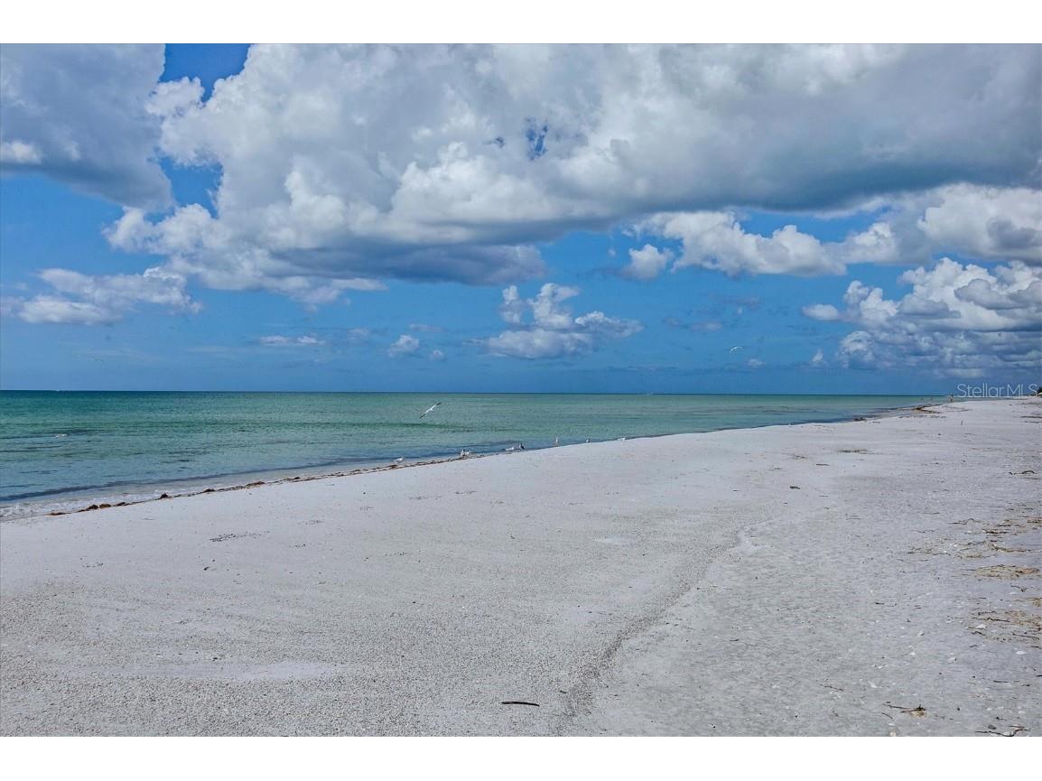 5000 Gasparilla Road #304 Boca Grande FL 33921 - GULF OF AMERICA D6144490 image25