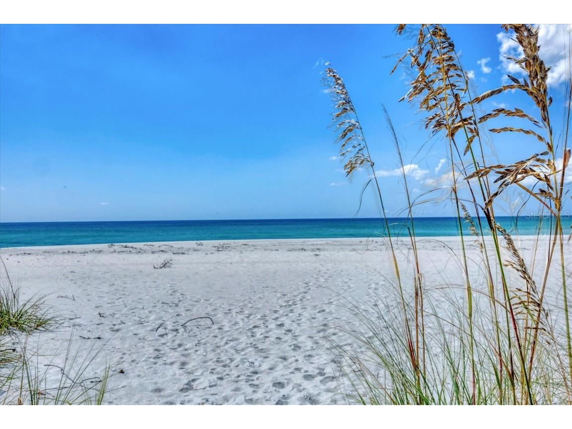 5000 Gasparilla Road #304 Boca Grande FL 33921 - GULF OF AMERICA D6144490 image30