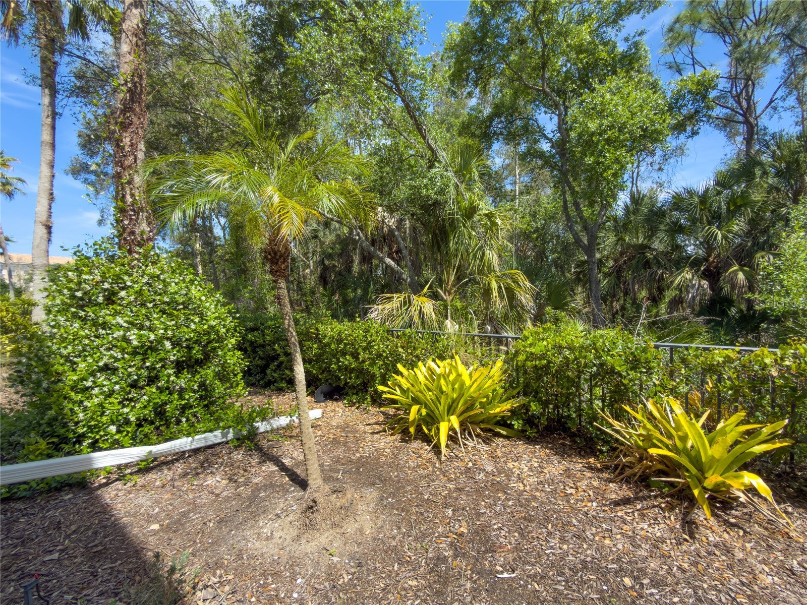 5000 Ibis Way #101 Venice FL 34292 N6140185 image28