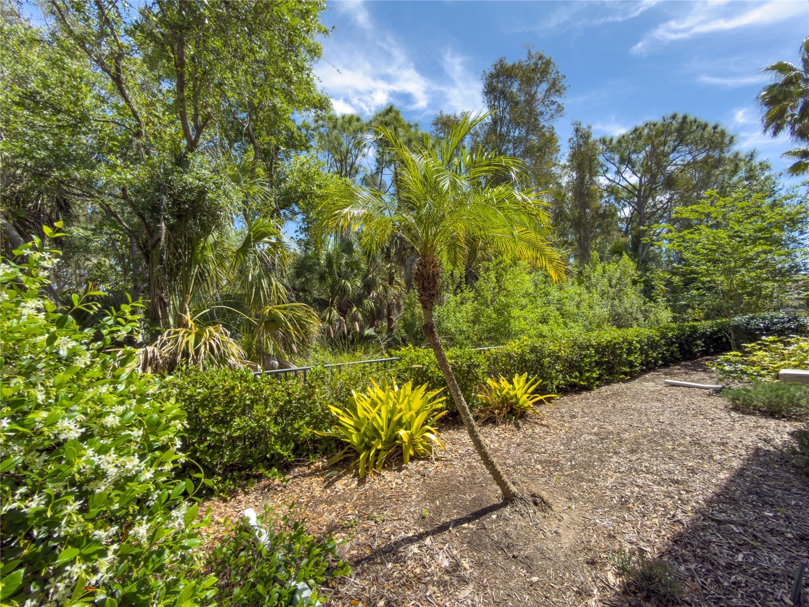 5000 Ibis Way #101 Venice FL 34292 N6140185 image6