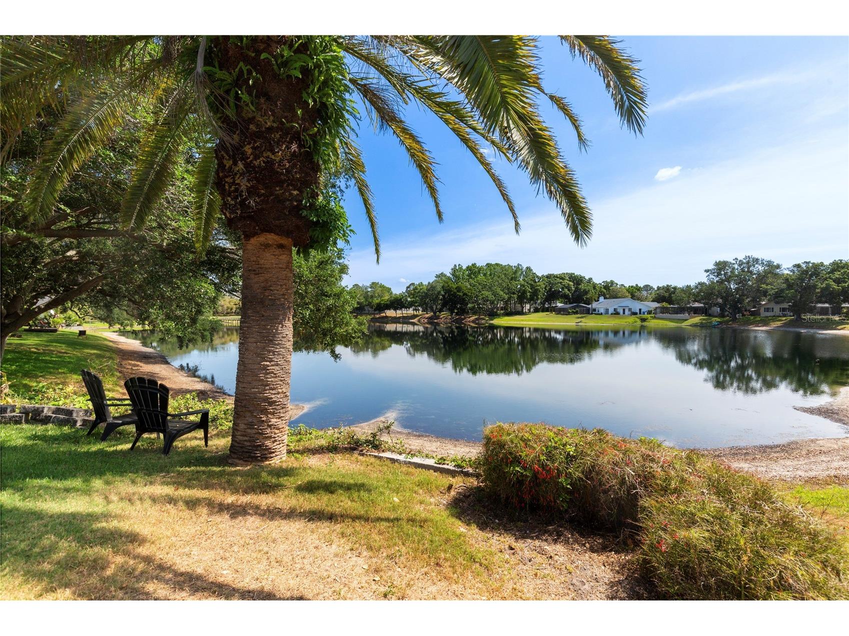 5000 Lake Valencia Boulevard W Palm Harbor FL 34684 - LAKE VALENCIA TB8495761 image40