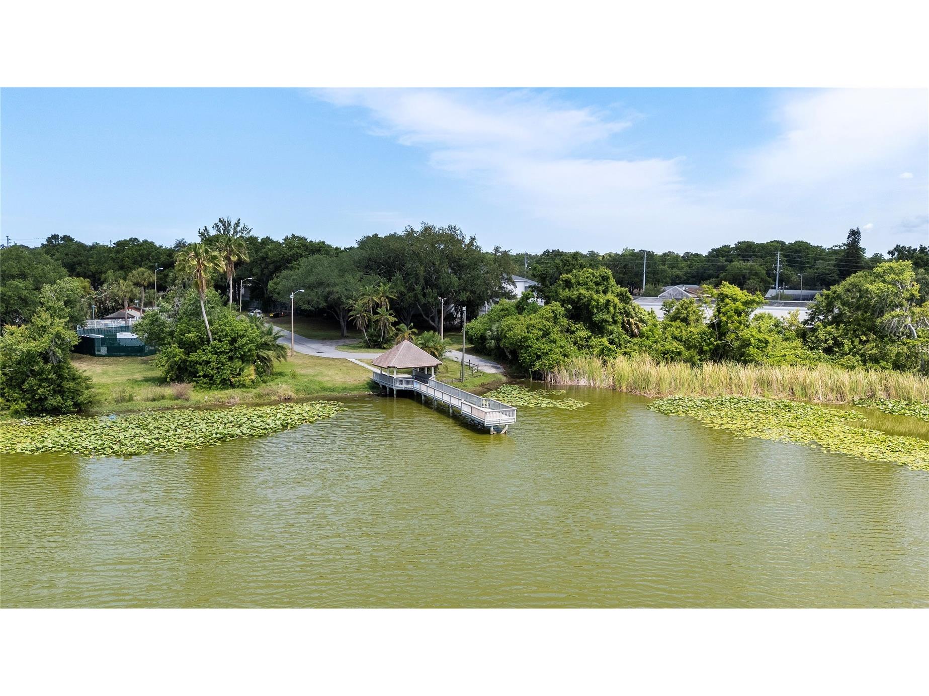 5000 Lake Valencia Boulevard W Palm Harbor FL 34684 - LAKE VALENCIA TB8495761 image48