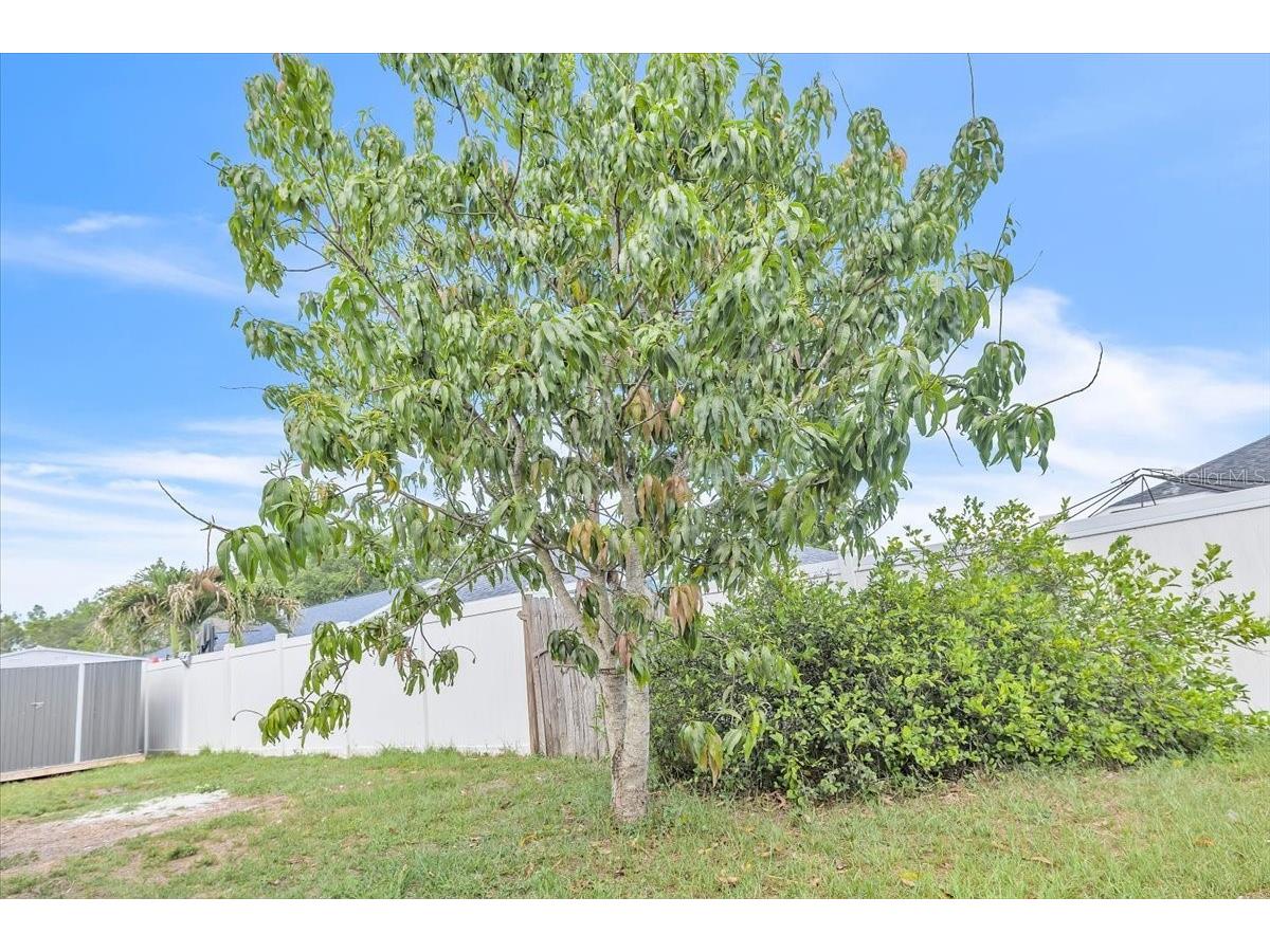 5001 22nd Court E Bradenton FL 34203 C7526017 image21