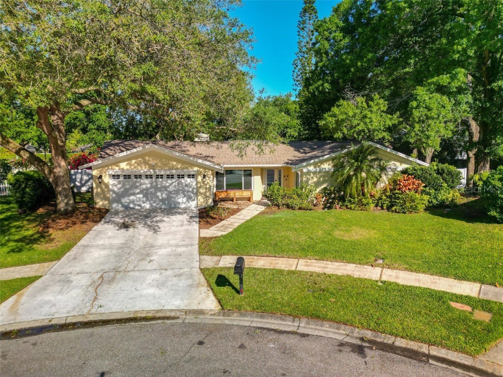 5001 Barrowe Pl Tampa FL 33624 T3518901 image1
