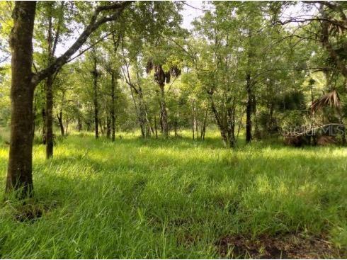 5001 Whippoorwill Drive Holiday FL 34690 W7884728 image1