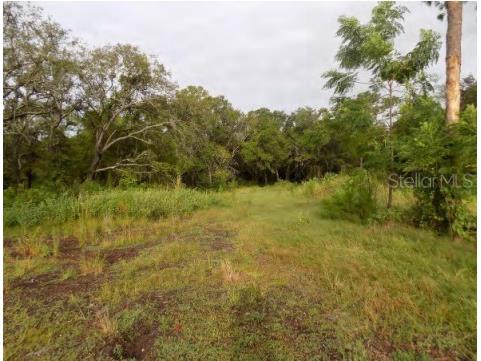 5001 Whippoorwill Drive Holiday FL 34690 W7884728 image4