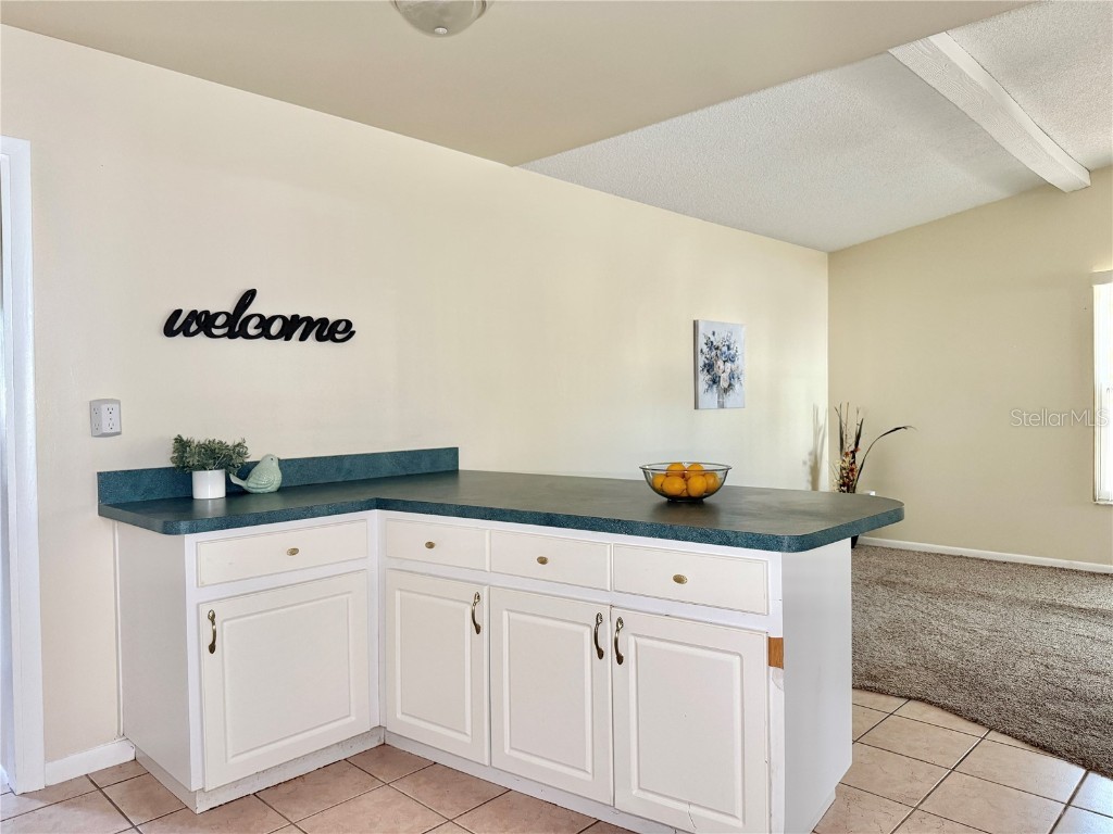 5001 Whiteway Drive Tampa FL 33617 TB8444764 image12