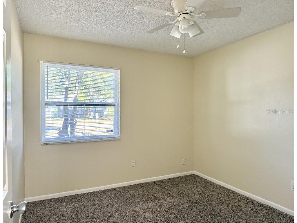 5001 Whiteway Drive Tampa FL 33617 TB8444764 image21