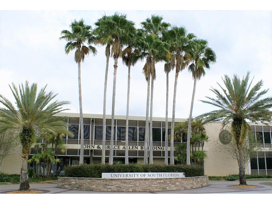 5001 Whiteway Drive Tampa FL 33617 TB8444764 image29