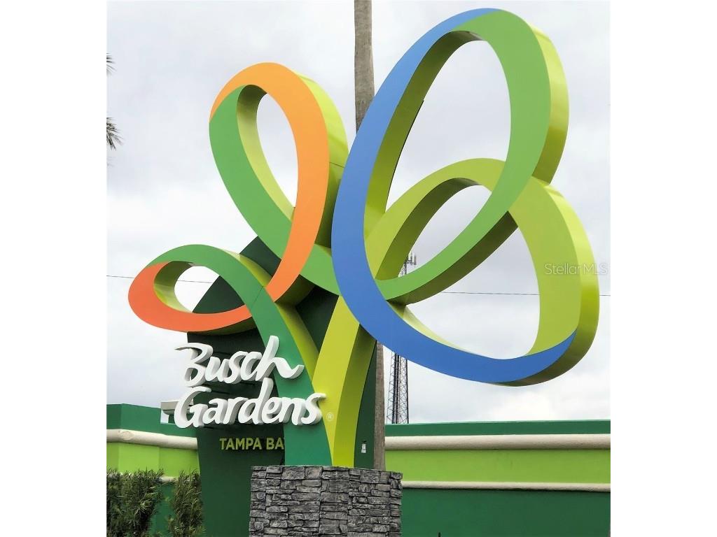 5001 Whiteway Drive Tampa FL 33617 TB8444764 image30