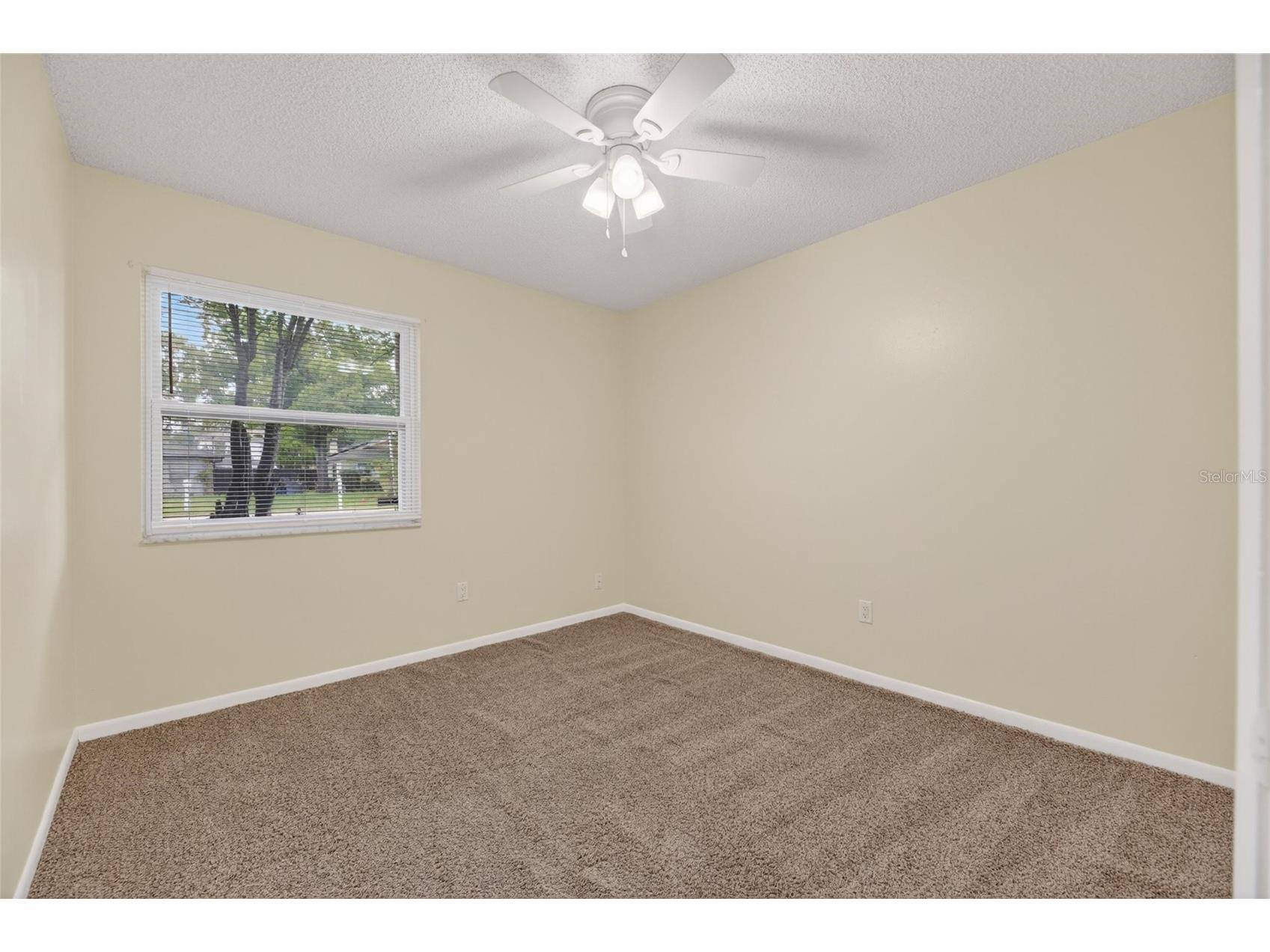 5001 Whiteway Drive Tampa FL 33617 TB8513974 image20