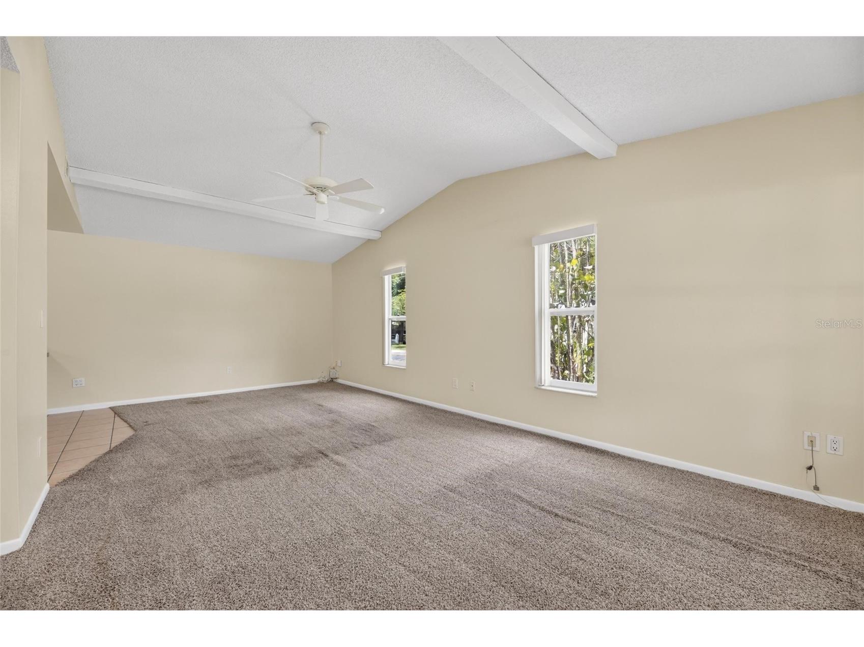 5001 Whiteway Drive Tampa FL 33617 TB8513974 image7