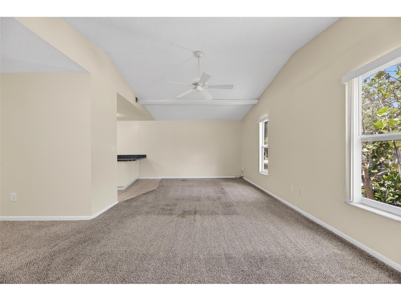 5001 Whiteway Drive Tampa FL 33617 TB8513974 image8