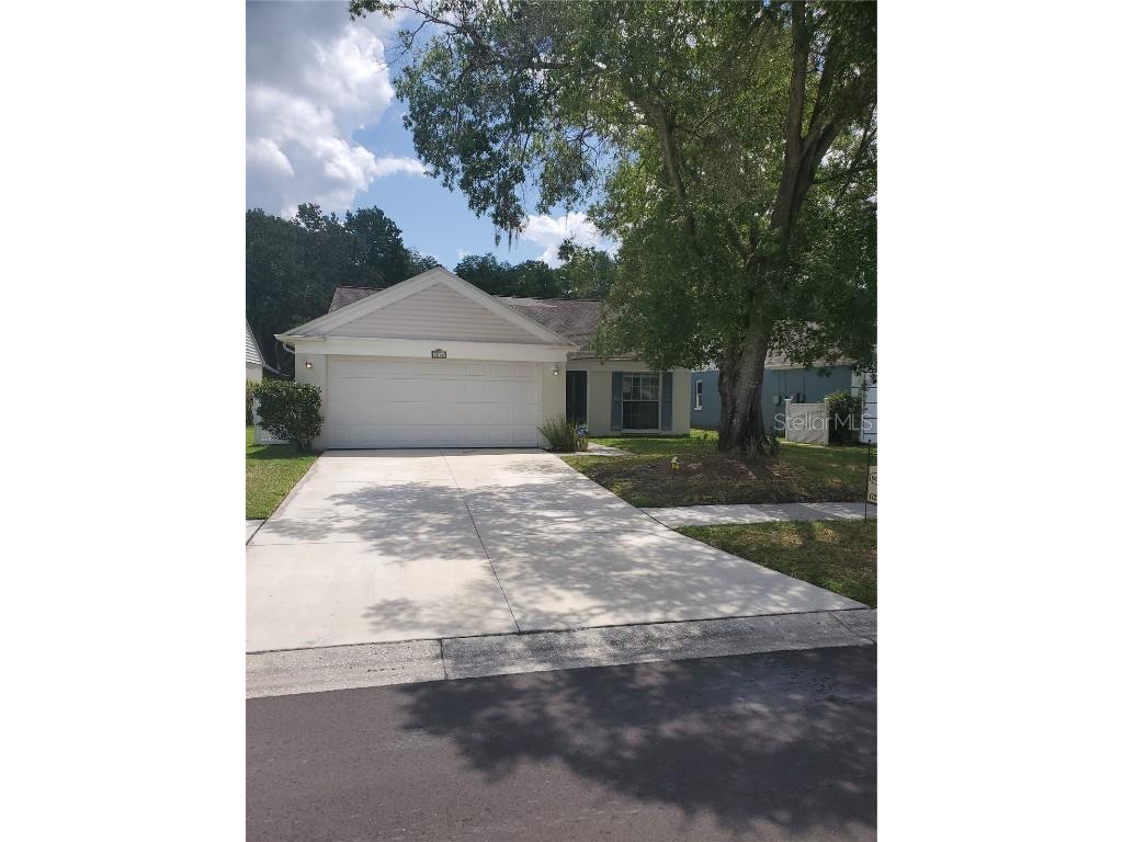 5002 Cypress Trace Drive Tampa FL 33624 T3458770 image1