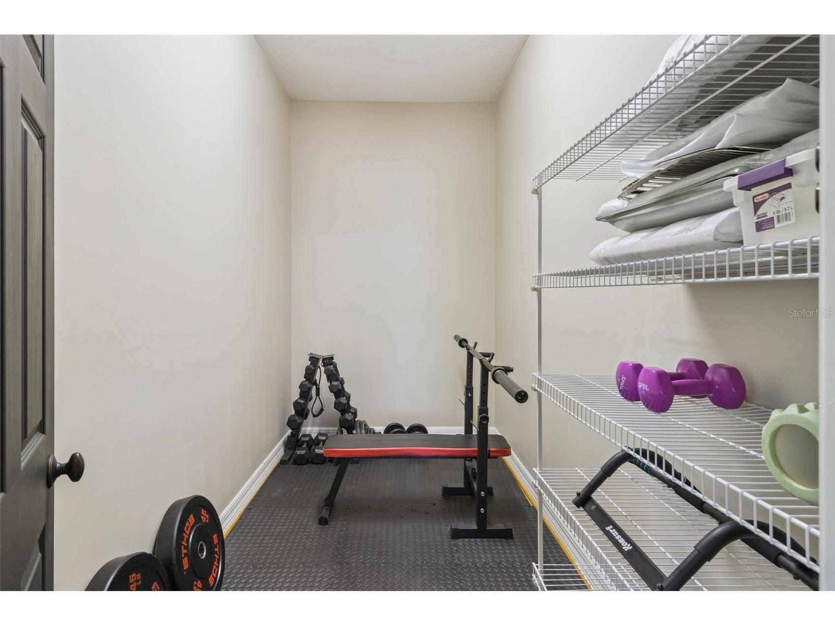 5002 Muir Way Lithia FL 33547 O6420865 image45