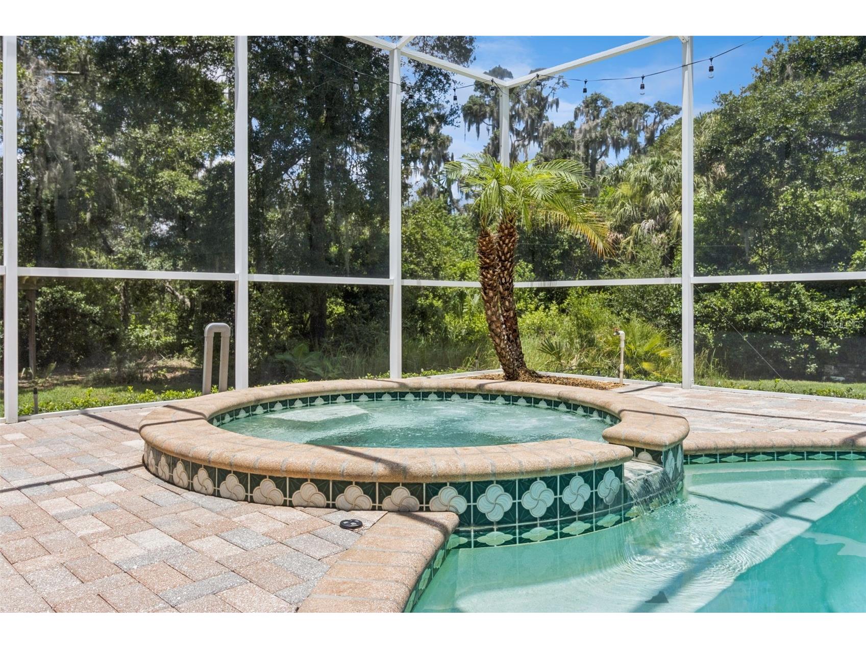 5002 Muir Way Lithia FL 33547 O6420865 image58