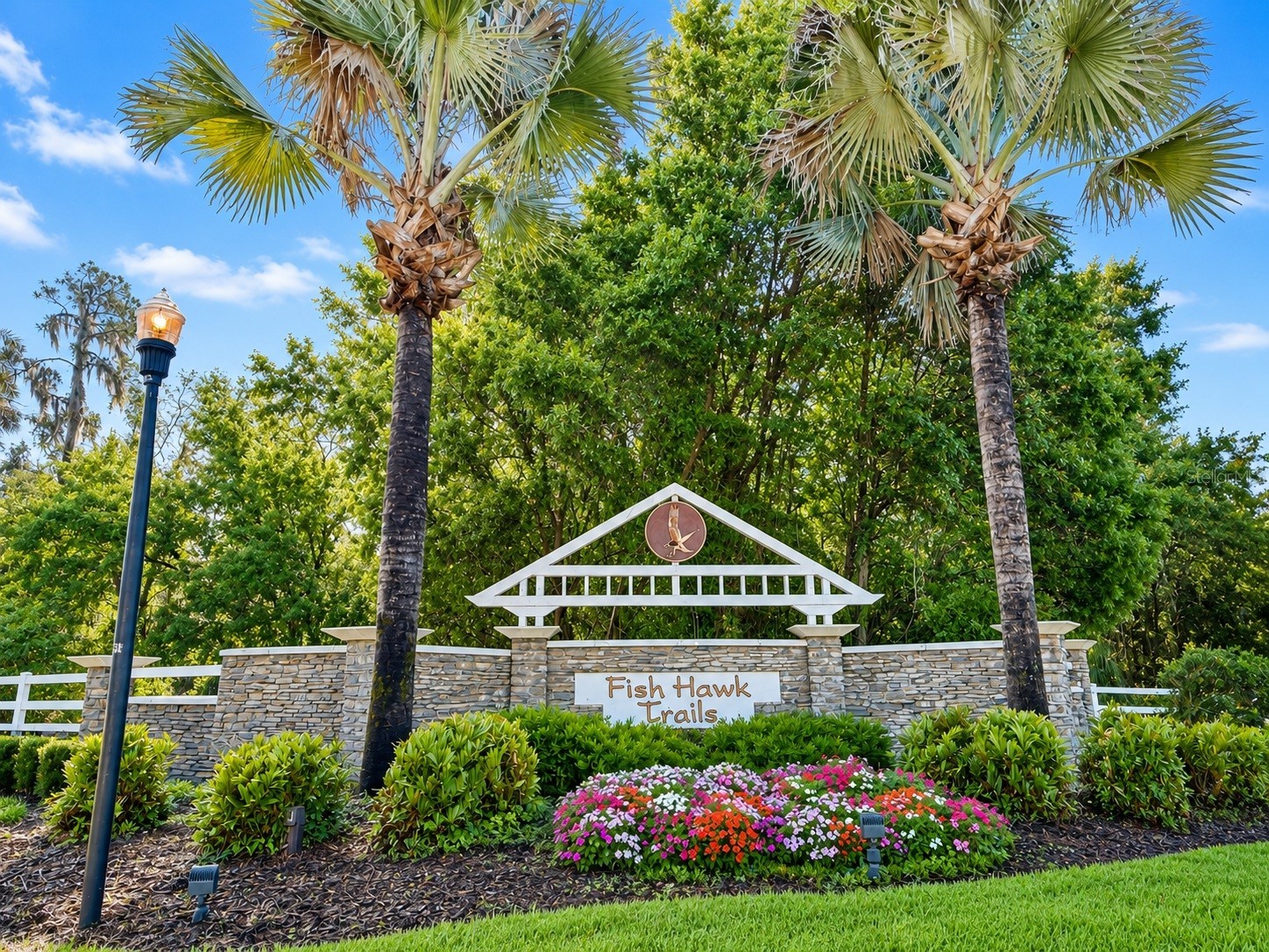 5002 Muir Way Lithia FL 33547 O6420865 image64