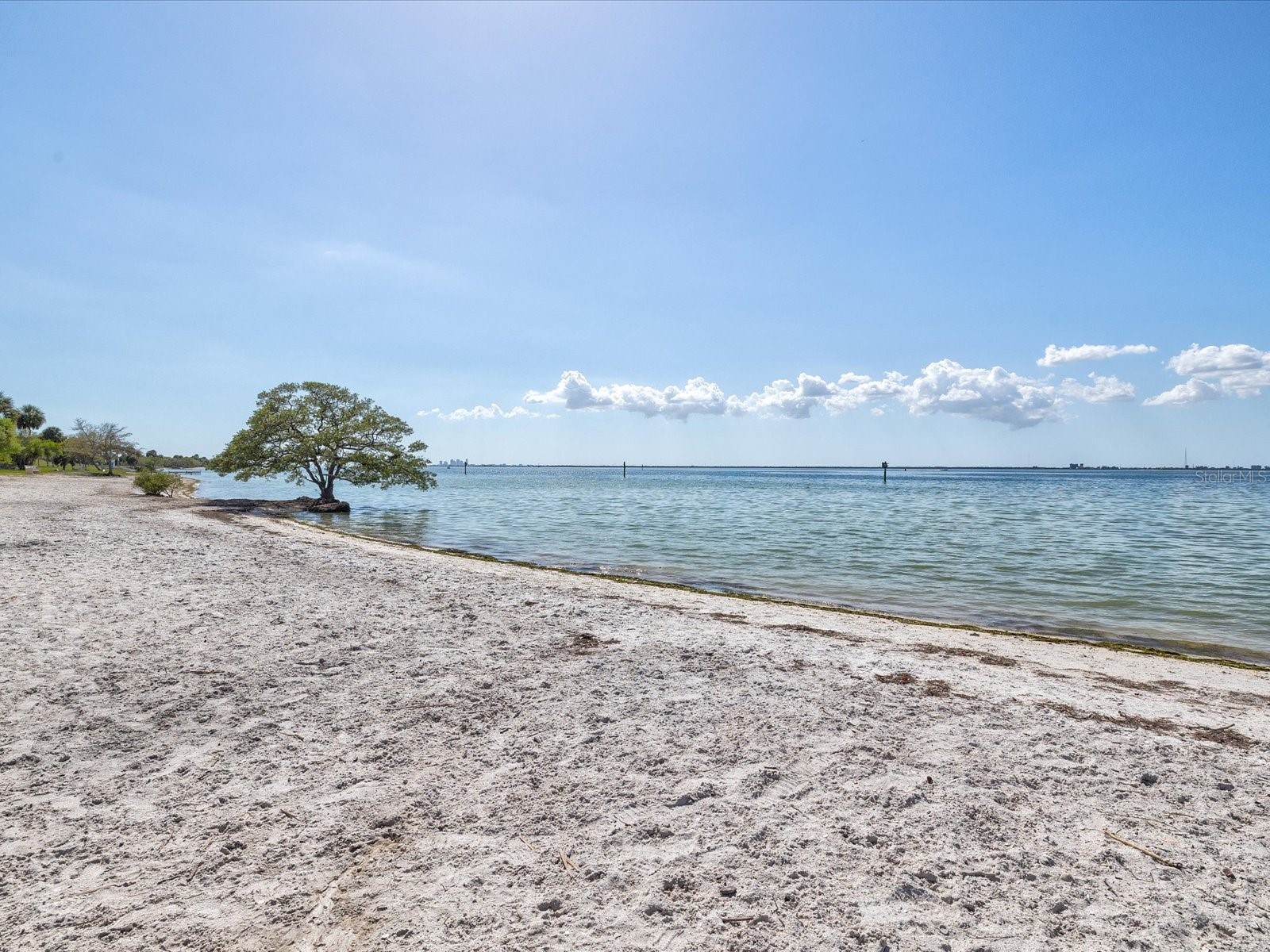 5002 W Idaho Street Tampa FL 33616 TB8484573 image60