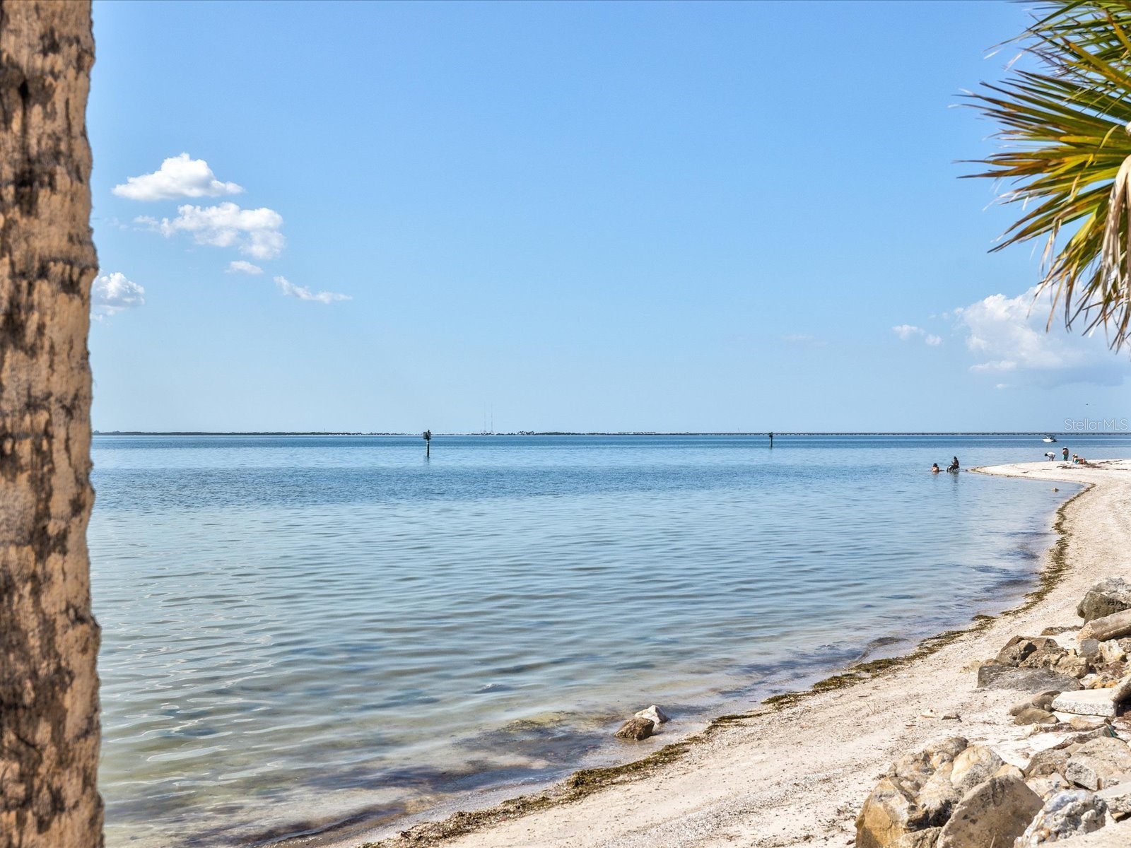 5002 W Idaho Street Tampa FL 33616 TB8484573 image66