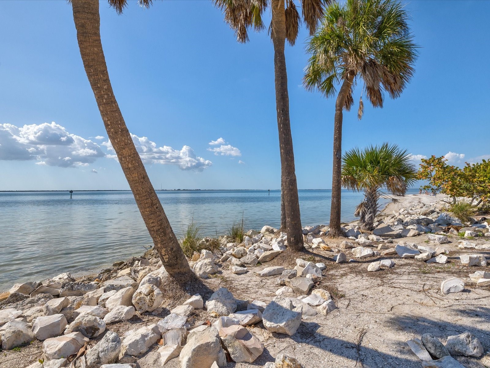 5002 W Idaho Street Tampa FL 33616 TB8484573 image74