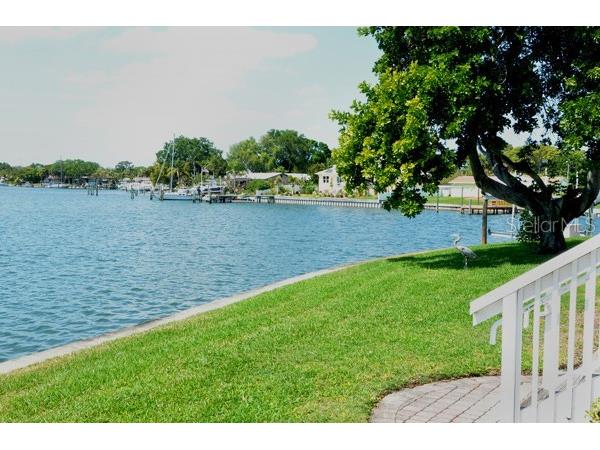 5003 Starfish Drive SE #A Saint Petersburg FL 33705 - LITTLE BAYOU TB8318583 image1