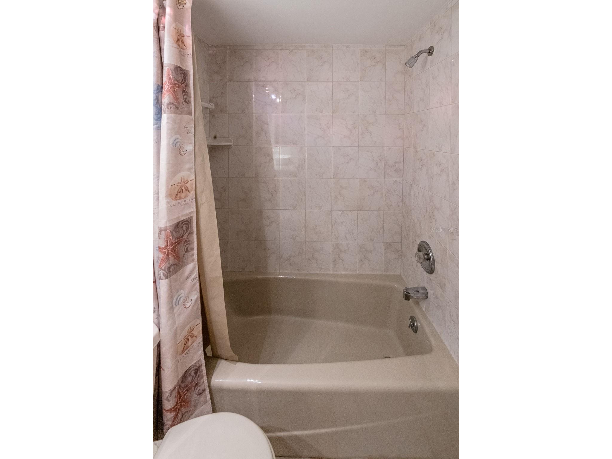 5003 Umber Way S Tampa FL 33624 TB8508908 image17