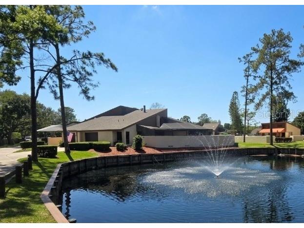 5003 Umber Way S Tampa FL 33624 TB8508908 image2